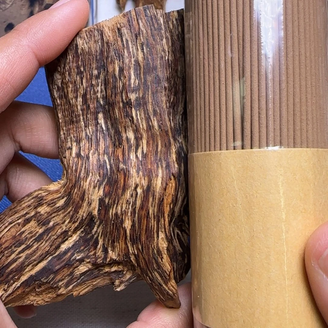 海南琼海虫漏31克重福利