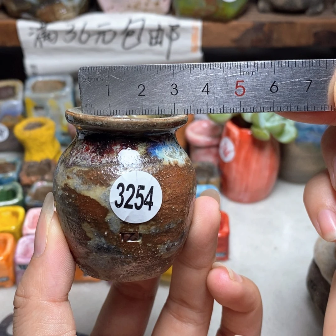 拍5送一个小礼物