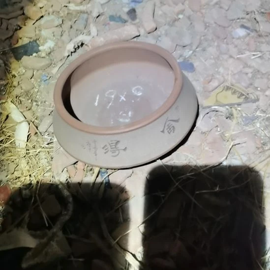 紫砂花盆放漏大促销