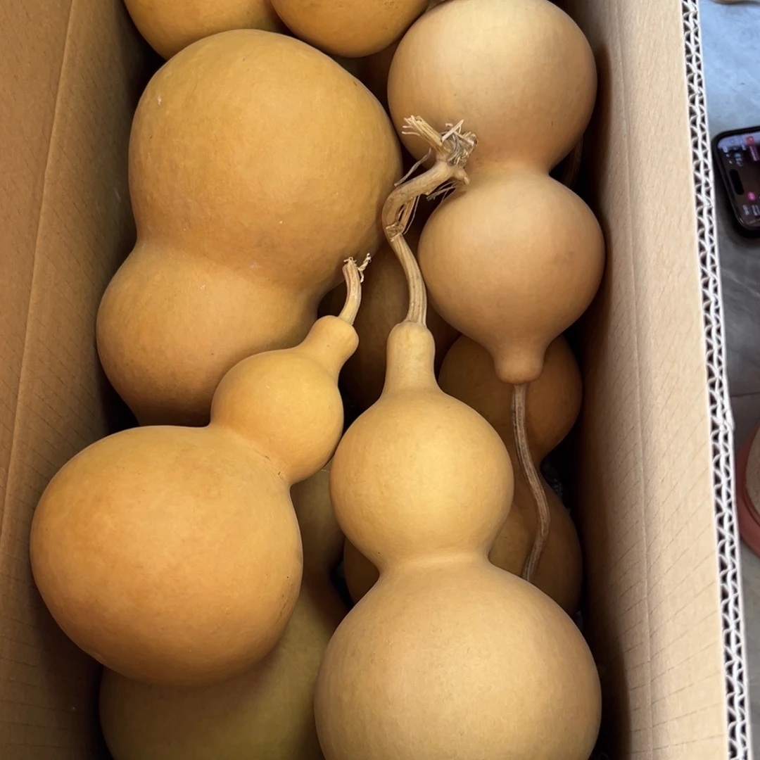 源***毛有机玻璃葫芦葫芦