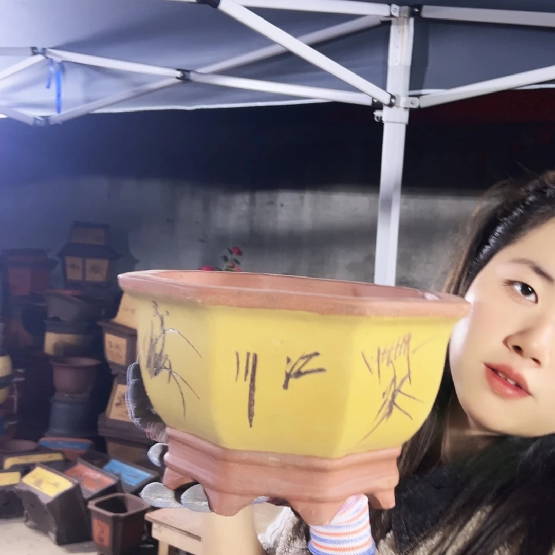 27黄八方花盆花盆花盆花盆