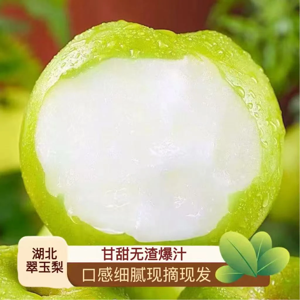 湖北翠玉梨酥脆青皮梨甘甜无渣爆汁新鲜现摘现发/坏果包赔4.5-5斤