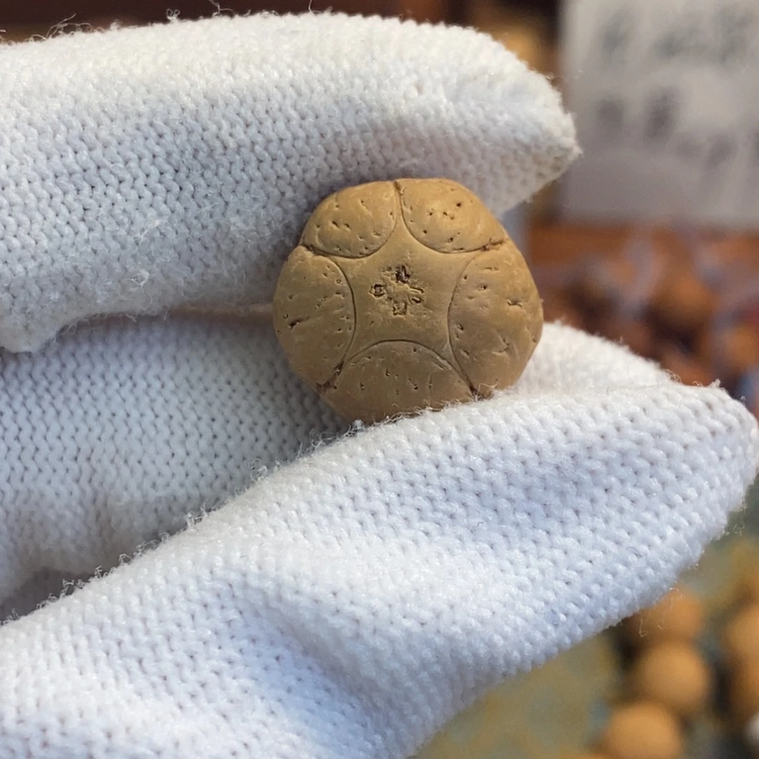 凤眼菩提吊坠五星单颗