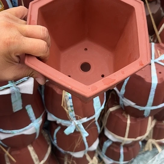 不去看书啊哈是真的想吐是因为