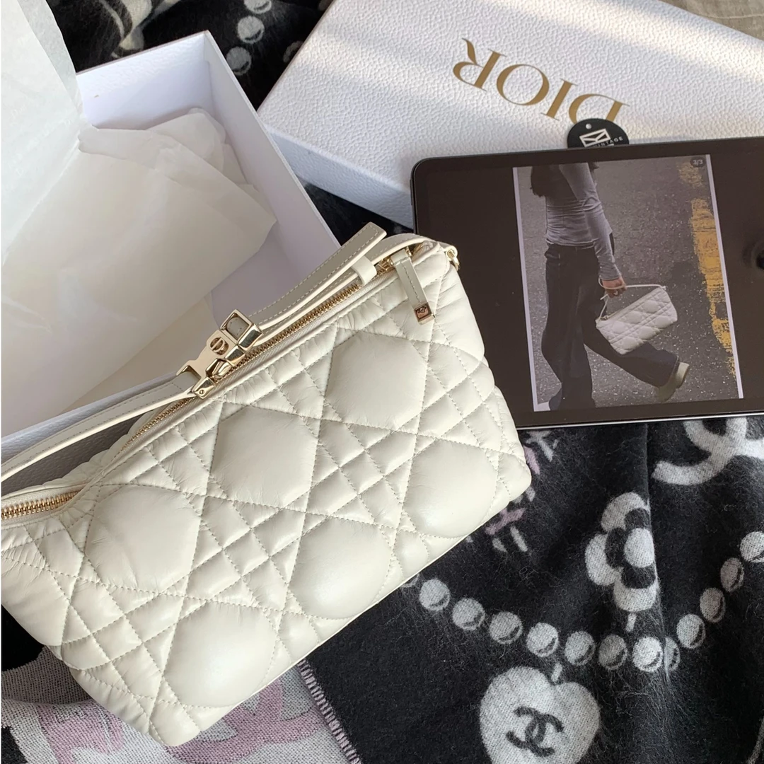 95新 DIOR/迪奥 白金饭盒hobo包25cm 17920435
