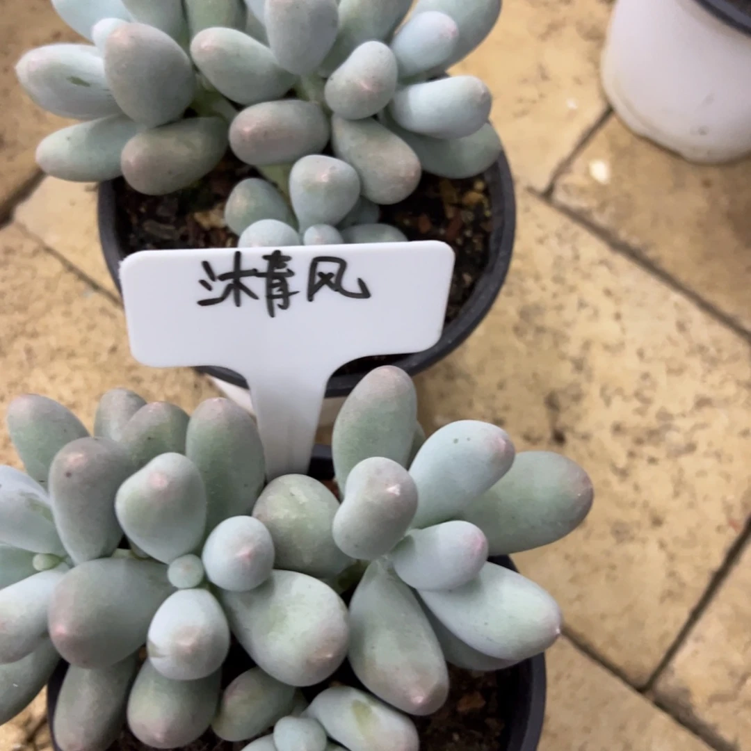 沐***丶我也要努力去实现它啦