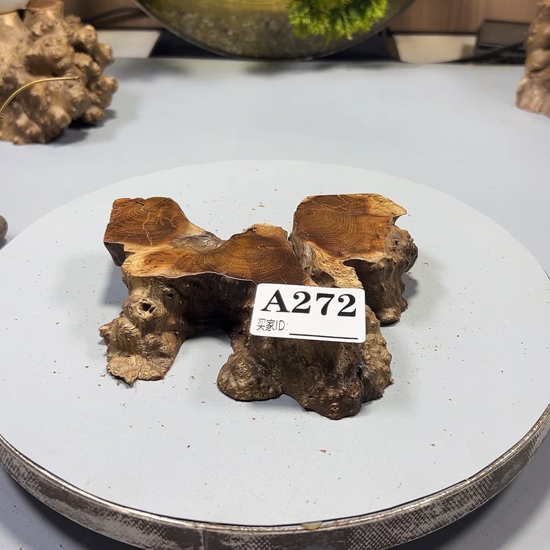 大果紫檀（缅甸花梨）逗*梅