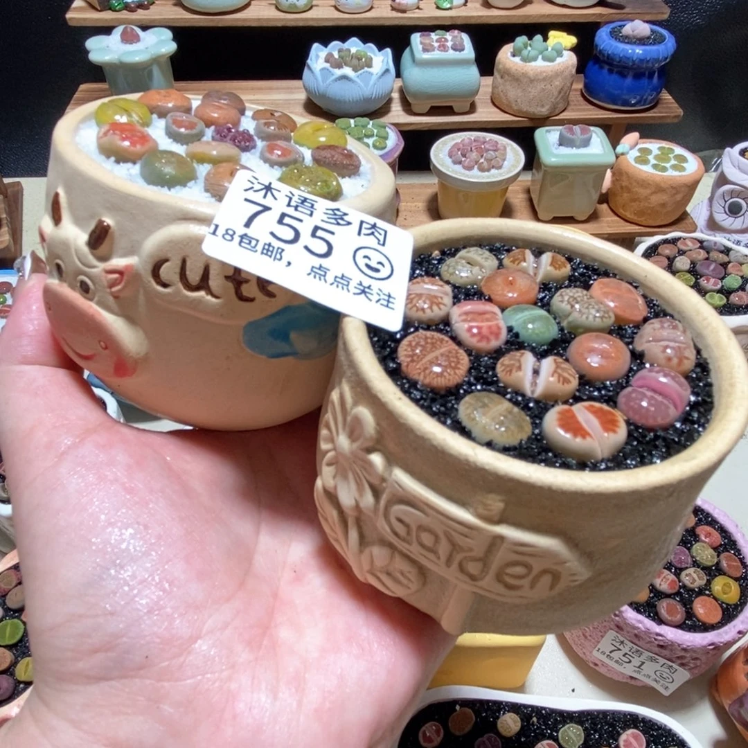 所见即所得 一物一拍755