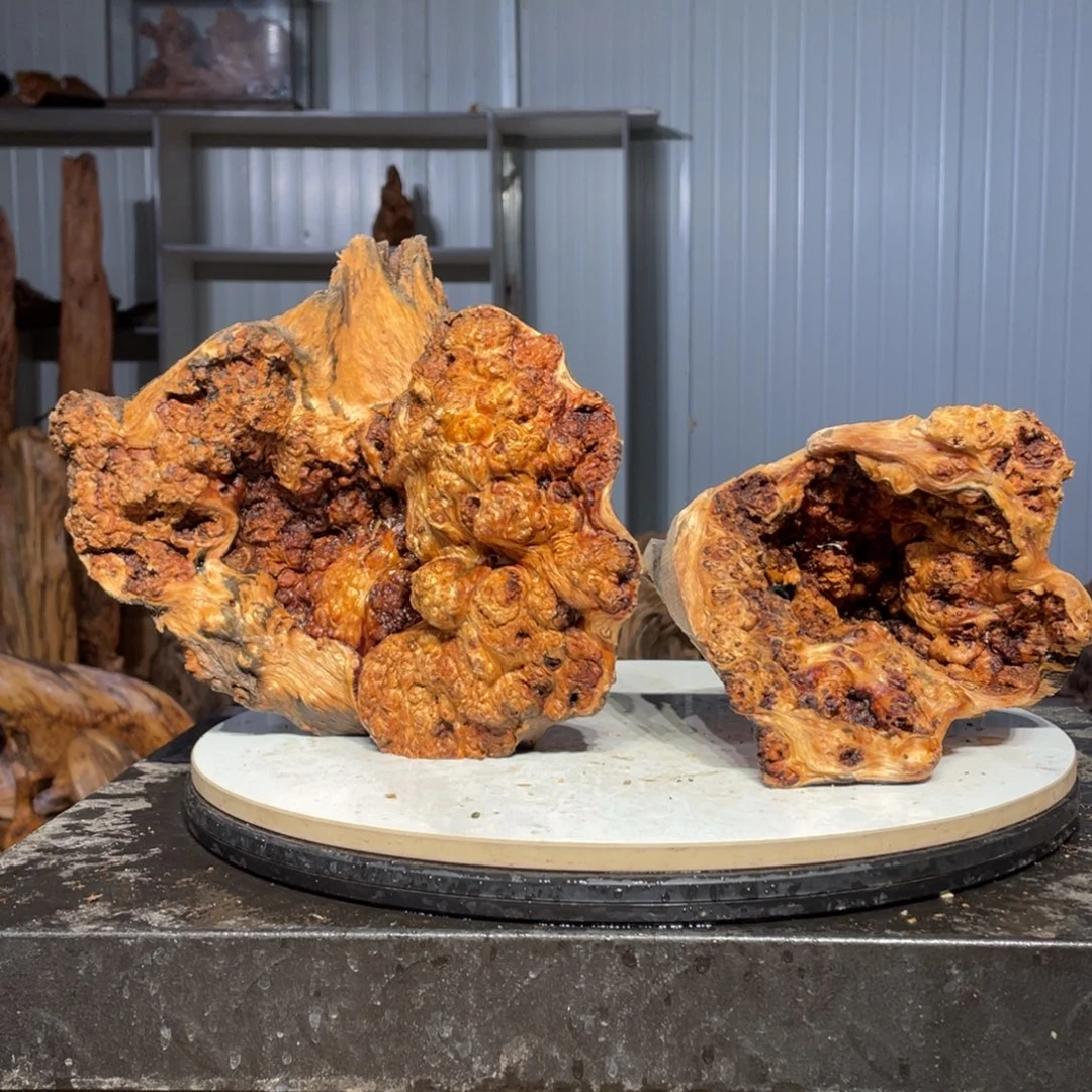 黃***雄木猛子琥珀木摆件60