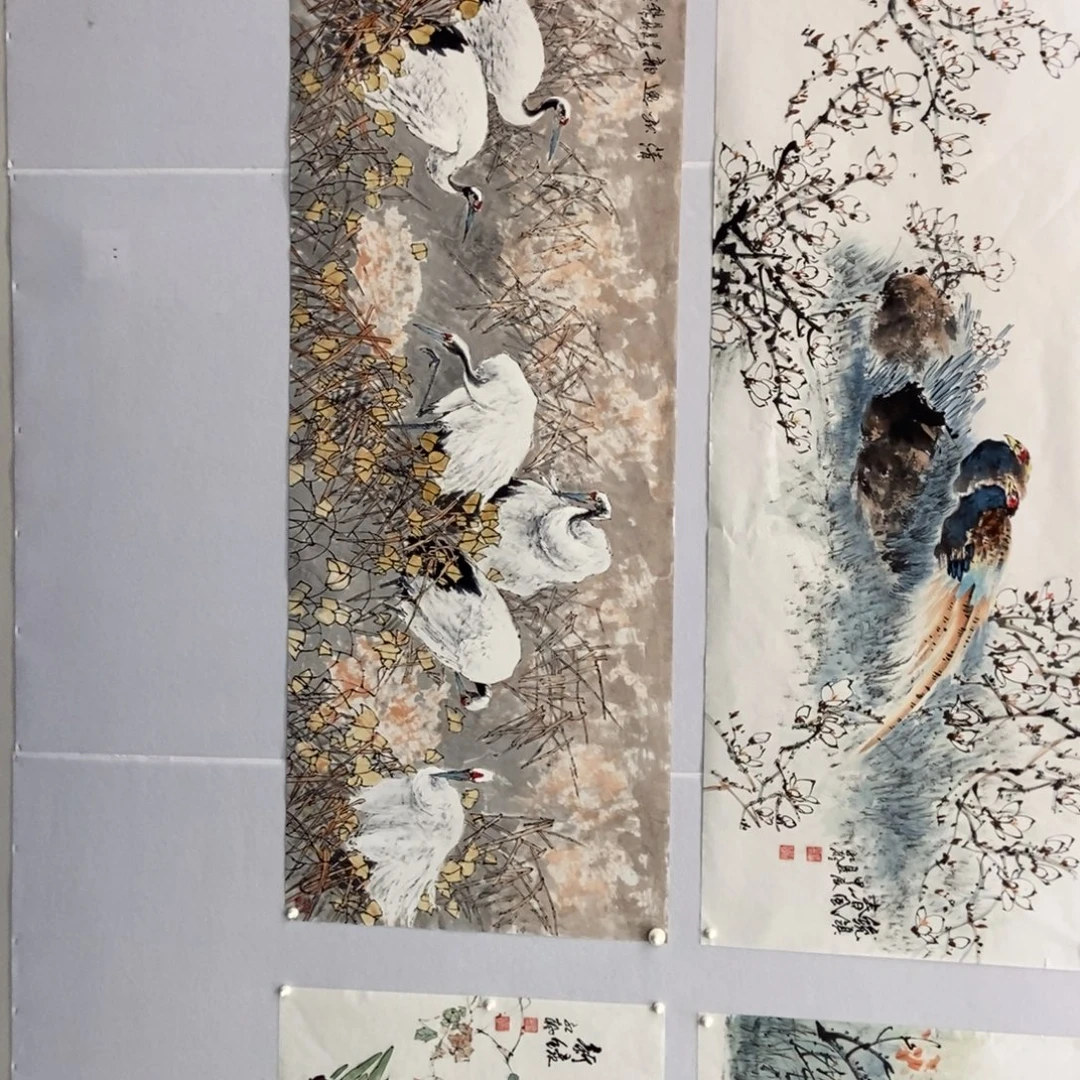 _***！国画墨鱼精品墨鱼精品