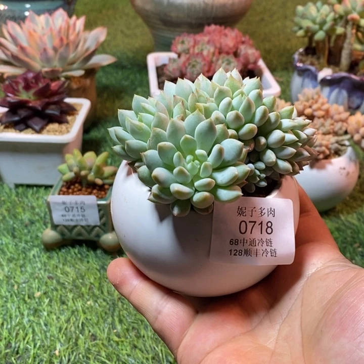 0718啊啊啊啊啊啊啊啊啊啊