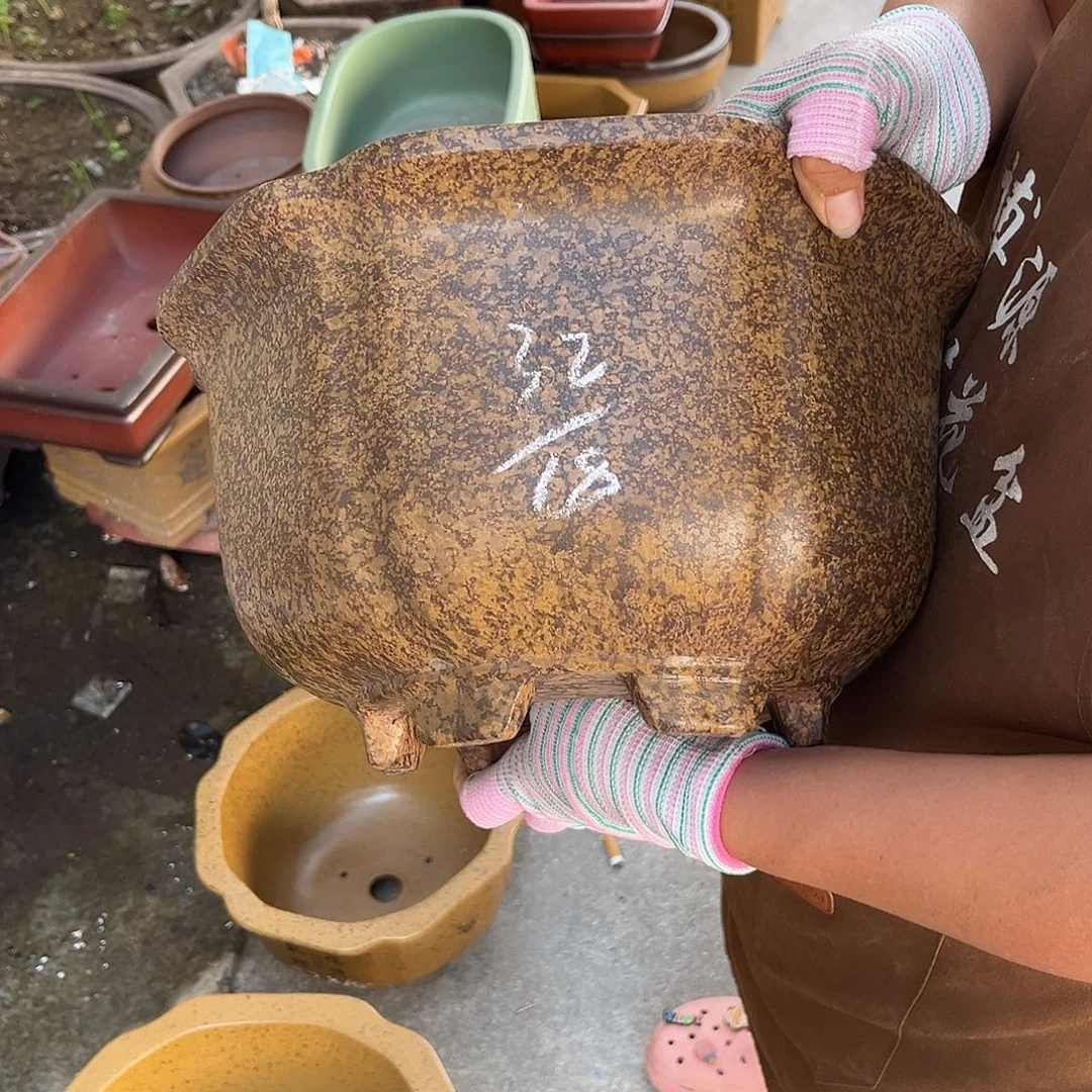紫砂花盆盆景艺术