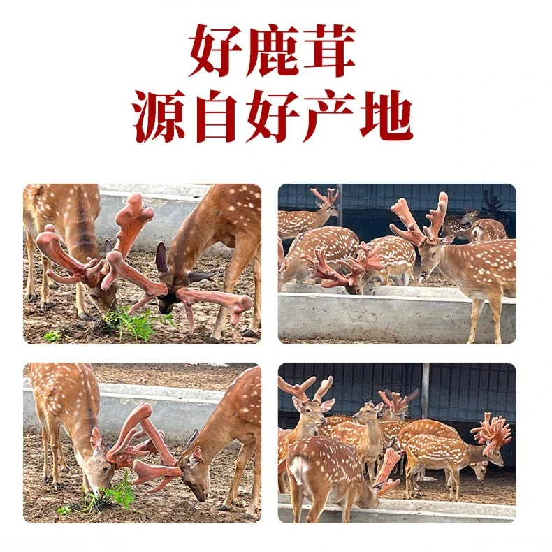 鹿乡精品新鲜鹿产品包邮直播自选以实物为准