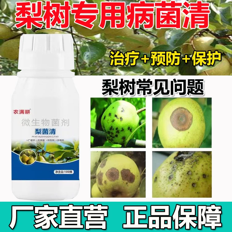 梨菌清农满耕果树专用清园清棚剂抗逆恢复树势微生物菌剂正品批发