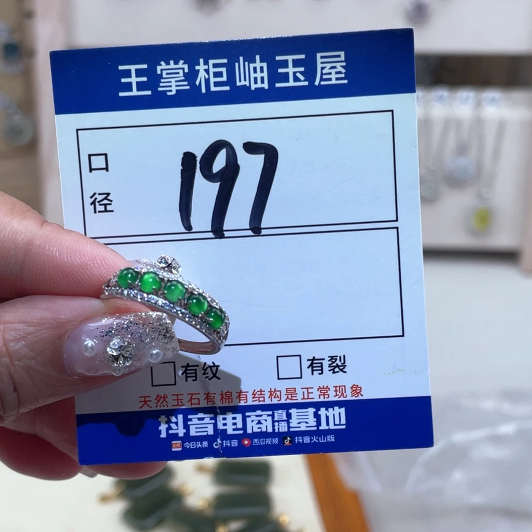 翡翠银S925镶嵌颈饰