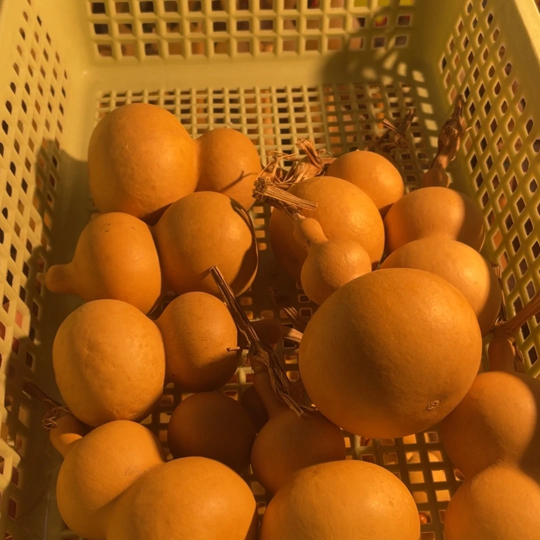 祖***朵葫芦已直播间为准