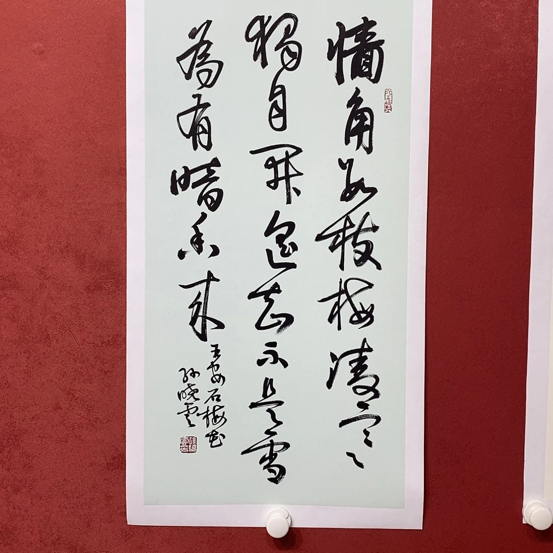 墙角数枝梅直播大漏