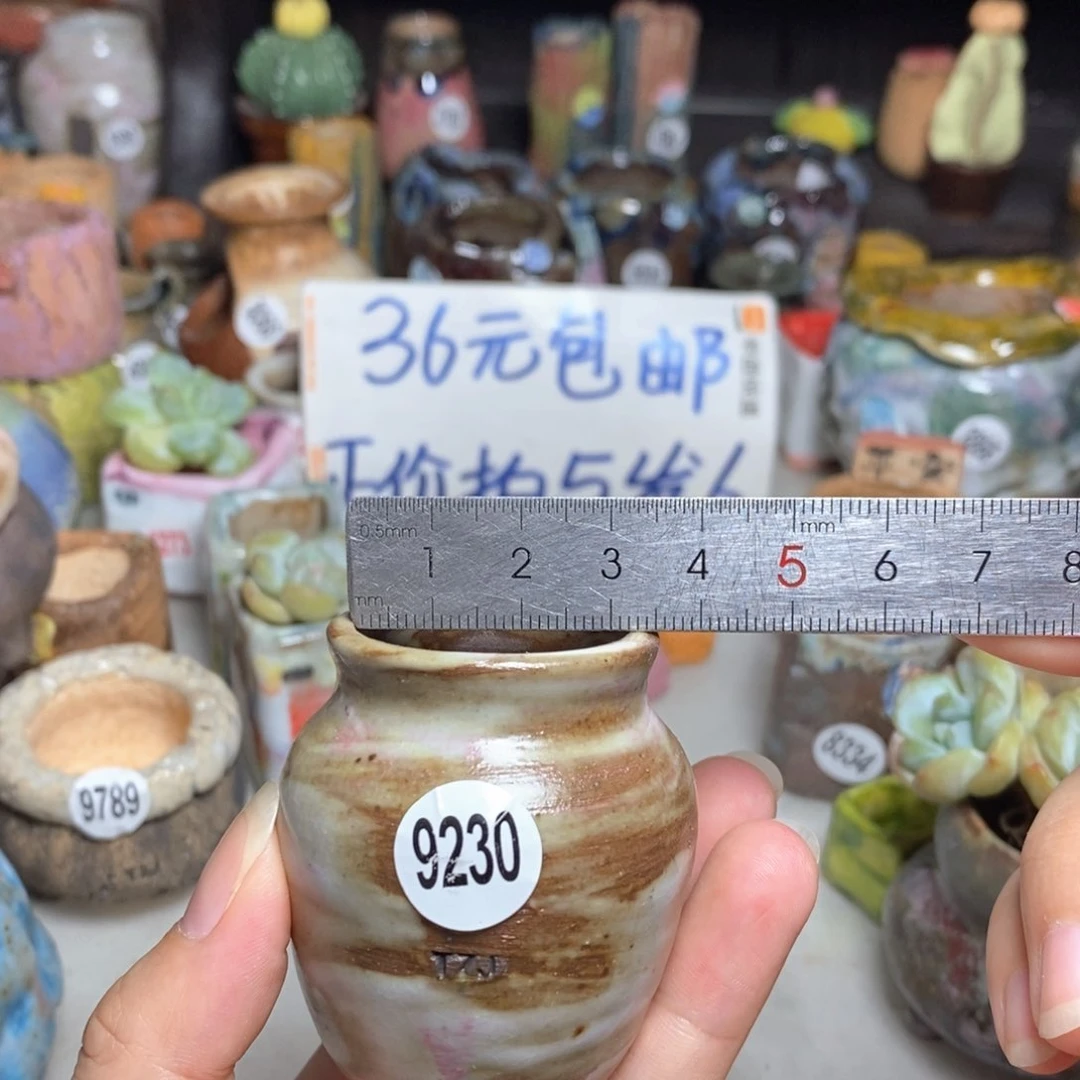 拍5送一个小礼物