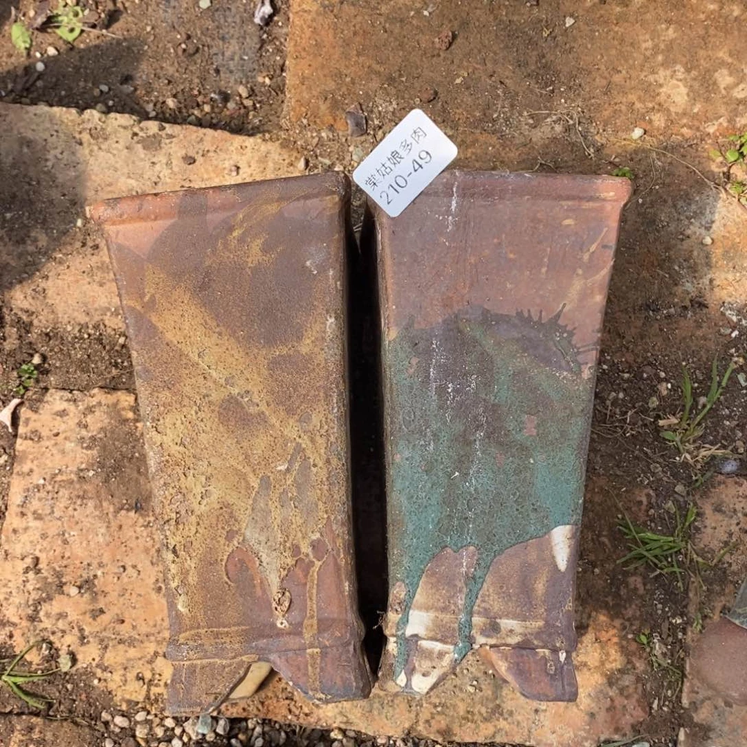 49号多肉盆两个组合