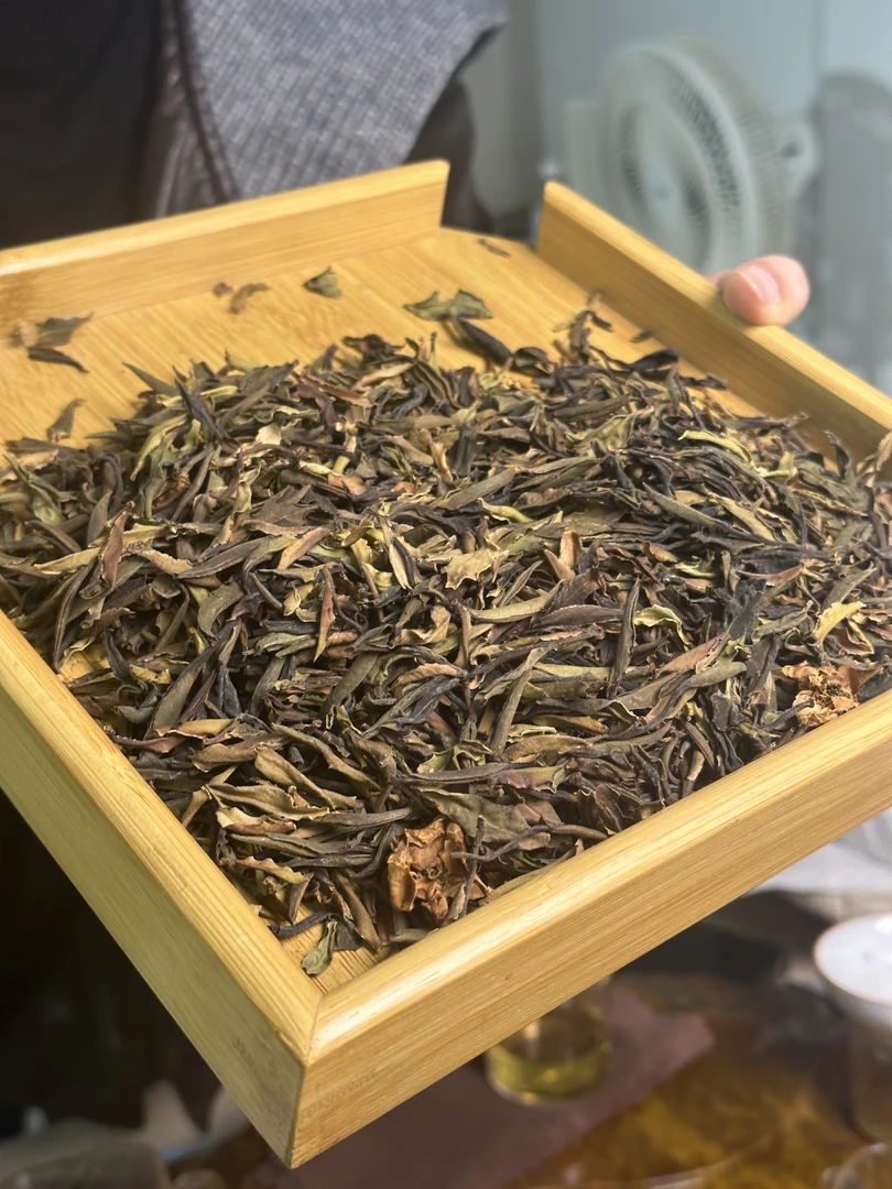 2022年野生野茶芽孢