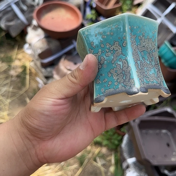 一点多去看我们宿舍楼下