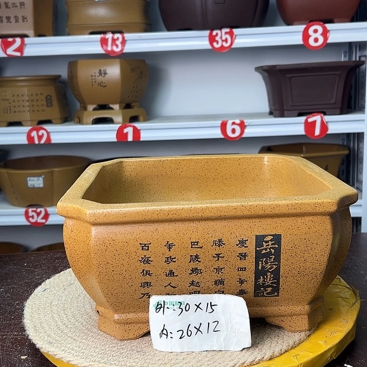 花盆紫砂你在一起