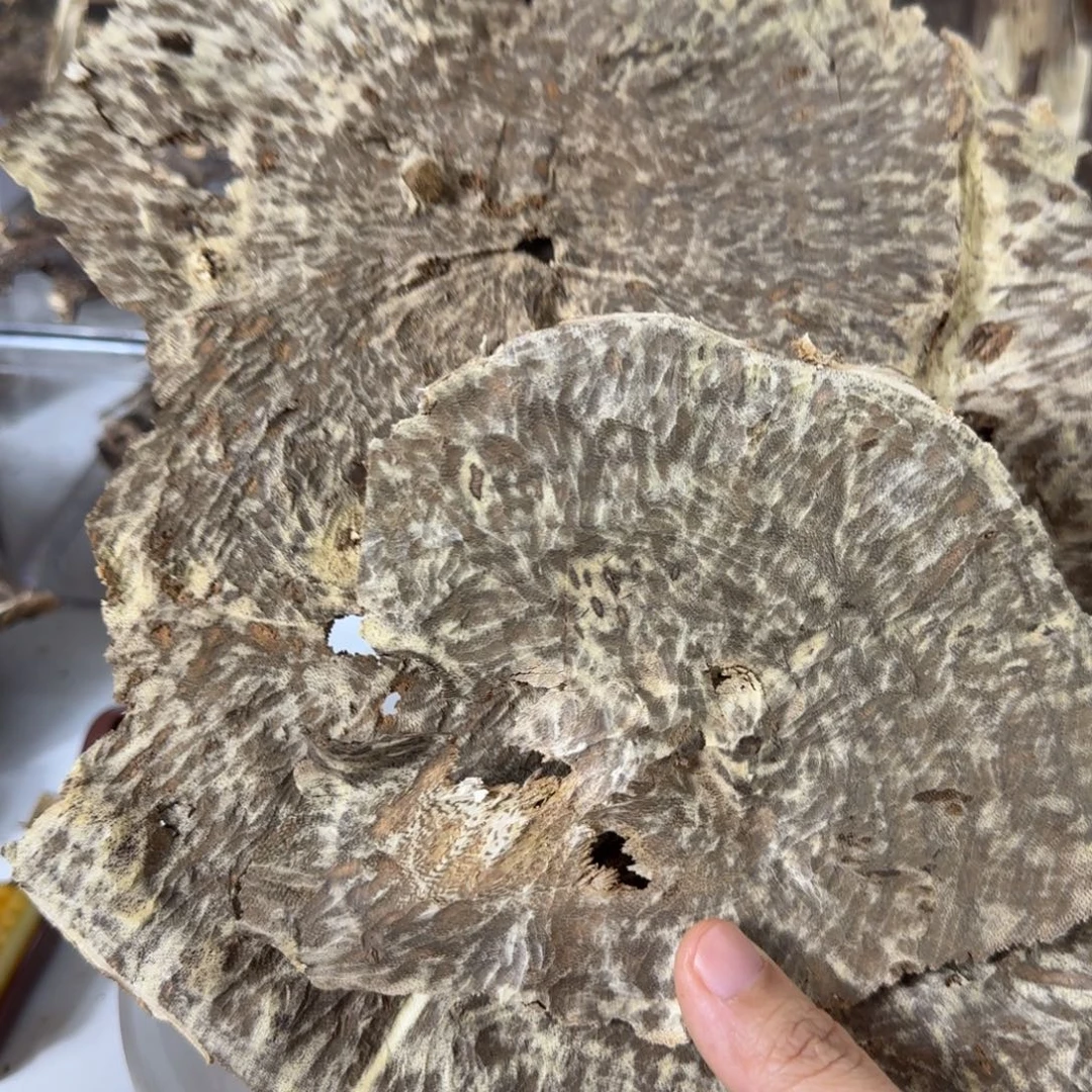 沉香沉香碎屑香港老板头75克