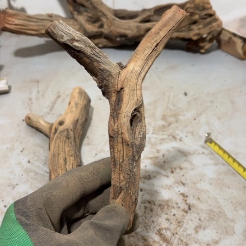 大果紫檀（缅甸花梨）$**$