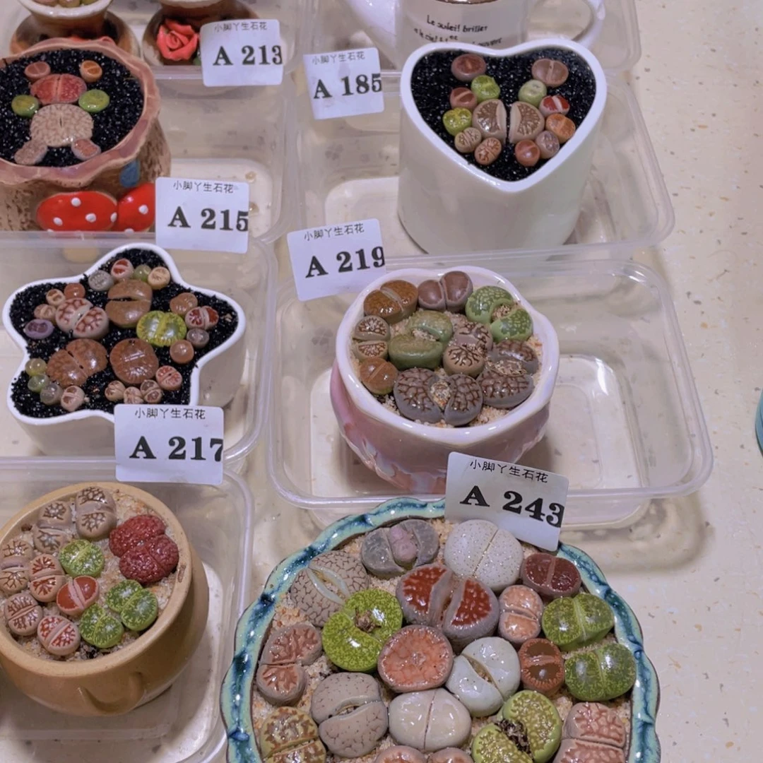 暖**?243。。。。。。。。。。。。。。。