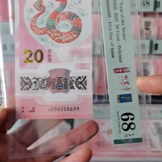 塑料蛇钞096088699………