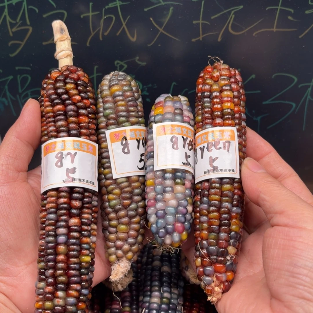 柏香籽/百香籽吊坠g****绿