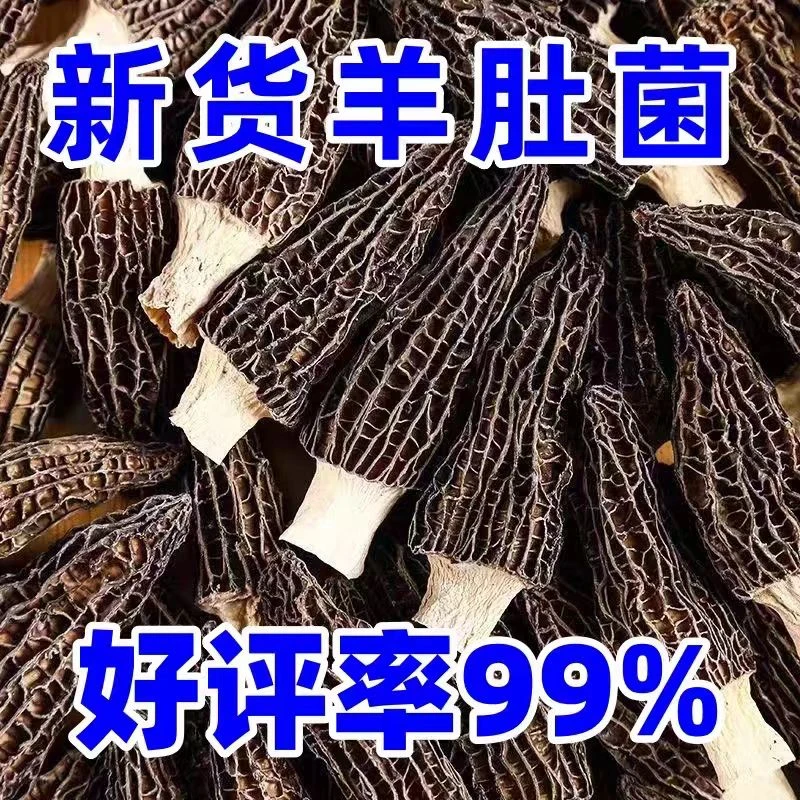 1号链接（3-5cm精品）头茬高海拔羊肚菌干货新鲜煲汤佳品营养美味