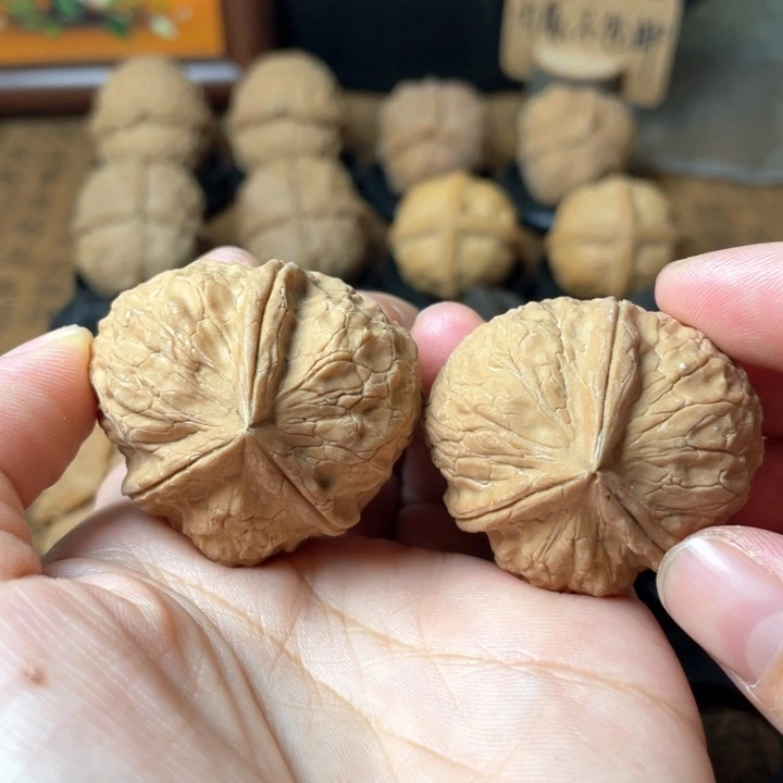 云南铁核桃默认微瑕52