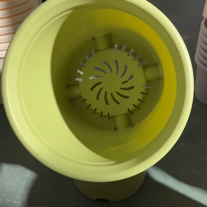 微瑕6号无托果绿7个