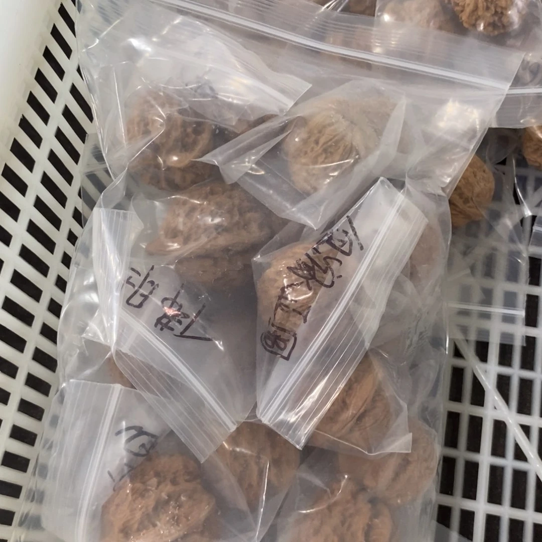 文玩核桃吊坠一单8对有瑕疵