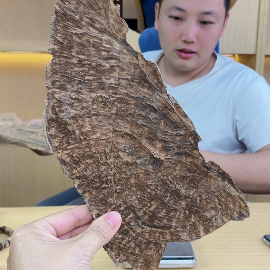 星***辰沉香沉香碎屑棋楠原材料板头52克多样性发一