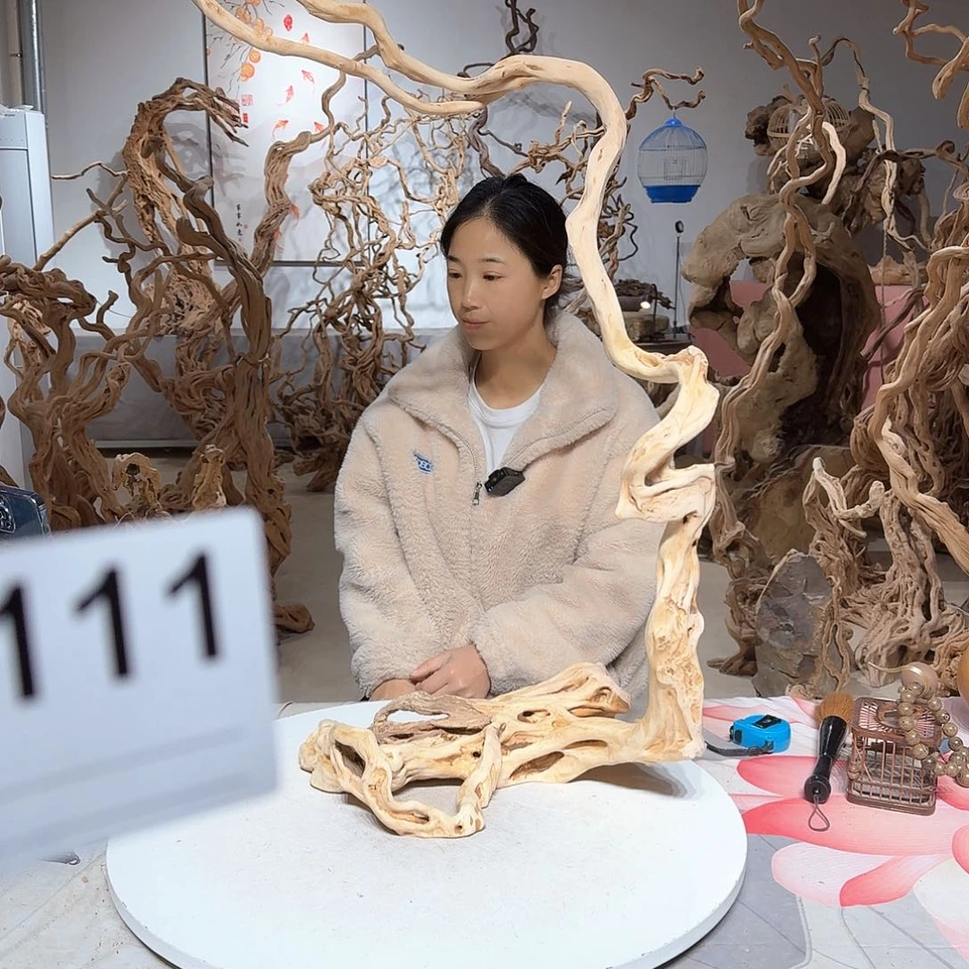 风车木（黑檀木）?***然