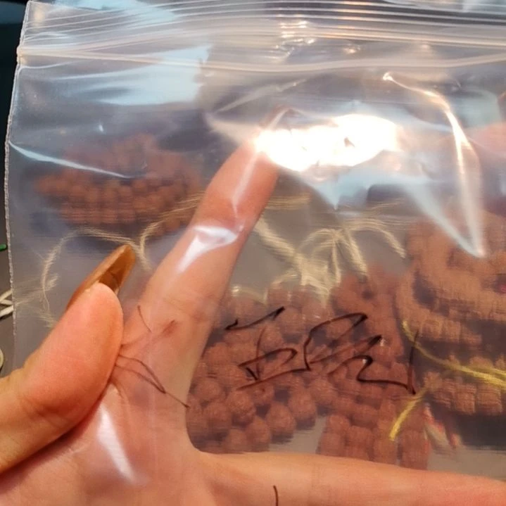 文***]手串金刚菩提两条保108