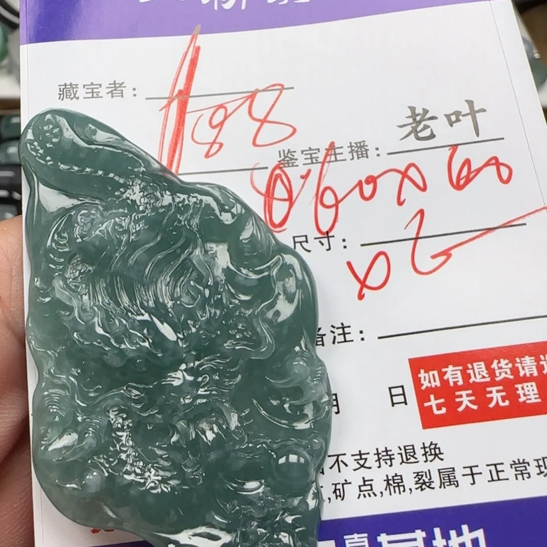 翡翠未镶嵌颈饰      9