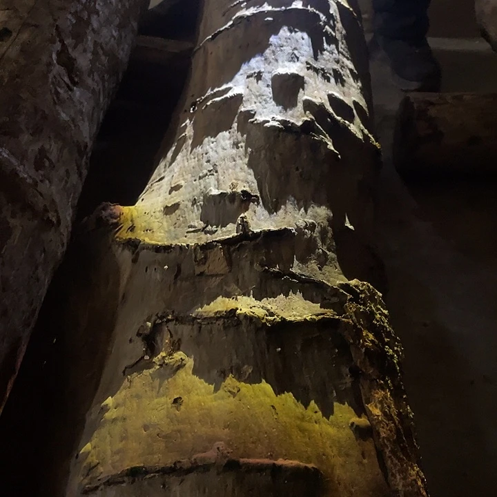 阿祥木业 一物一拍