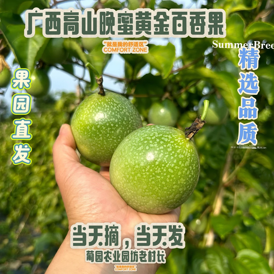 广西钦蜜9号晚蜜百香果新鲜当季多汁香甜水果顺丰发货