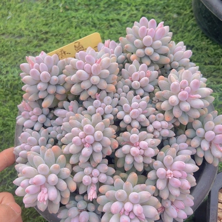 健健康康平平安安