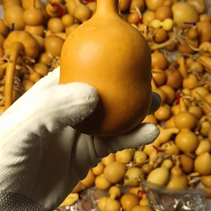 带沙坑的小胖墩子