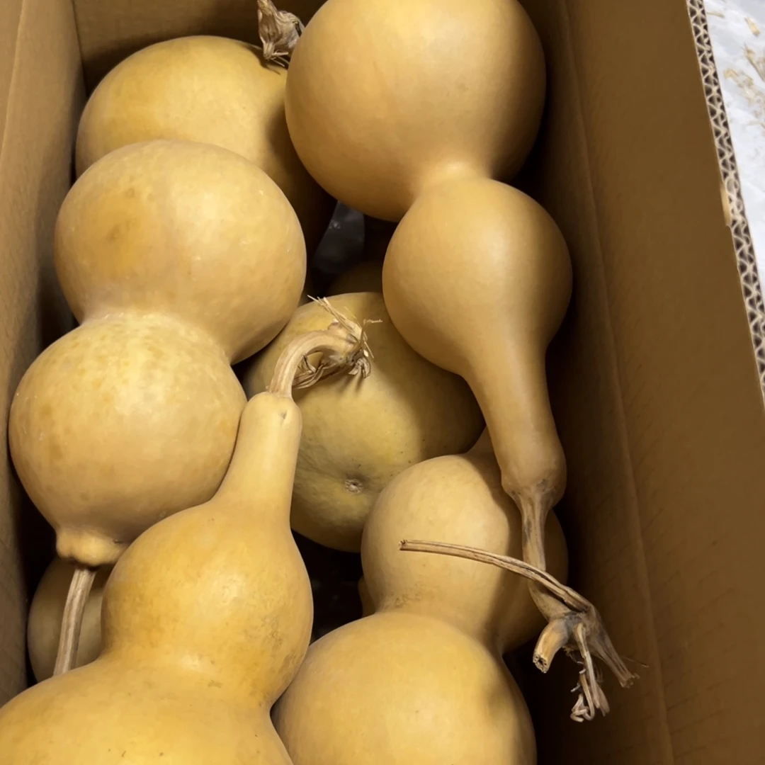 （***）有机玻璃葫芦葫芦