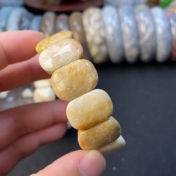 未镶嵌手链硅化珊瑚（珊瑚玉）
