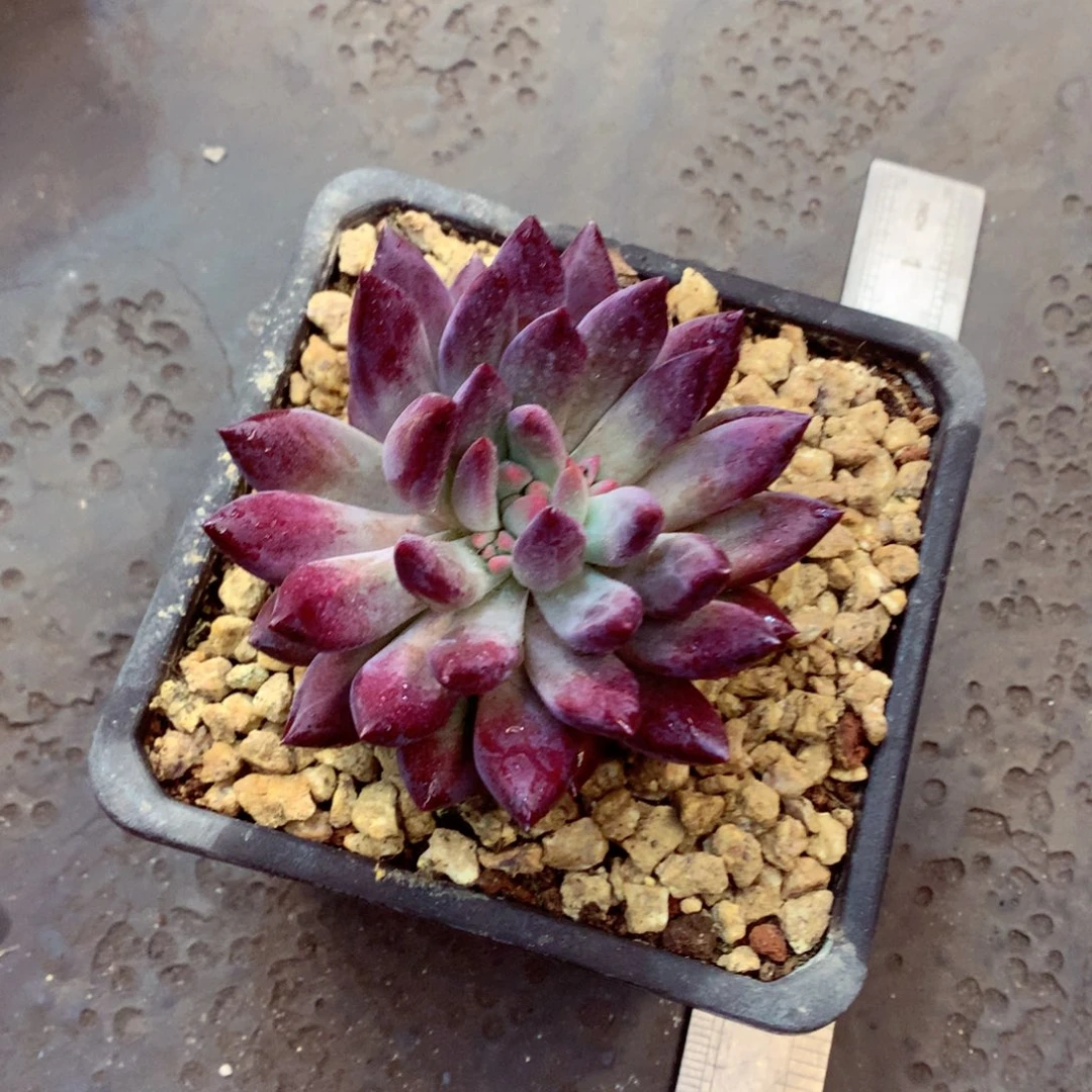 在在在在在在在在我现在我现在