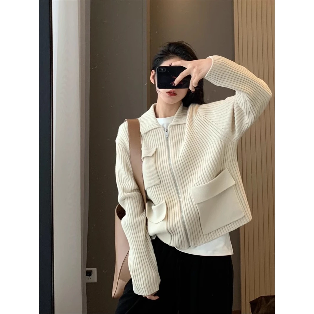 韩版女装韩系别致chic高级感毛衣外套女小个子绝美拉链针织开衫