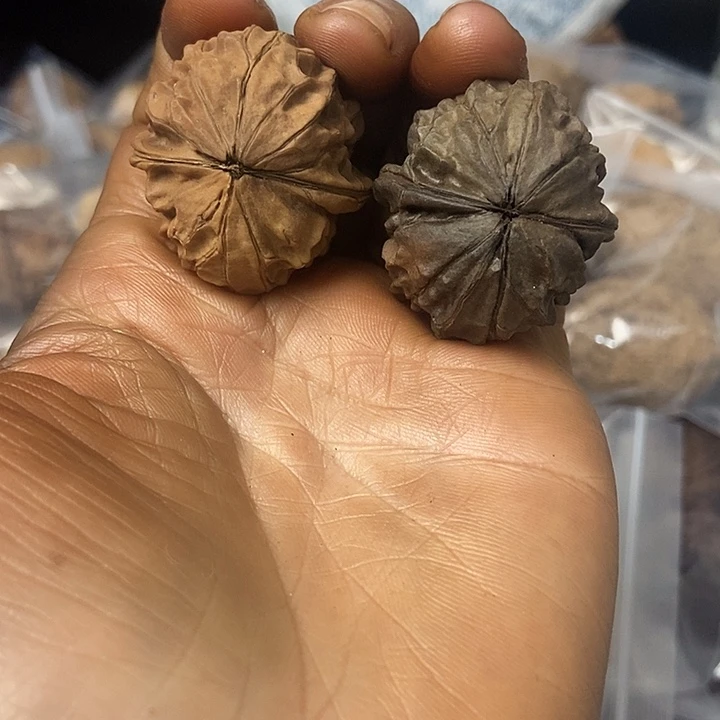 把件文玩核桃云南铁核桃基地23