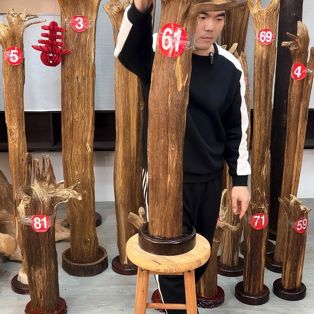 沉香摆件海南沉香摆件