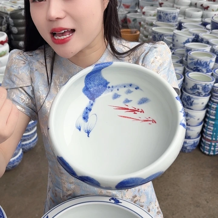 瓷片口径20厘米 高度6厘米